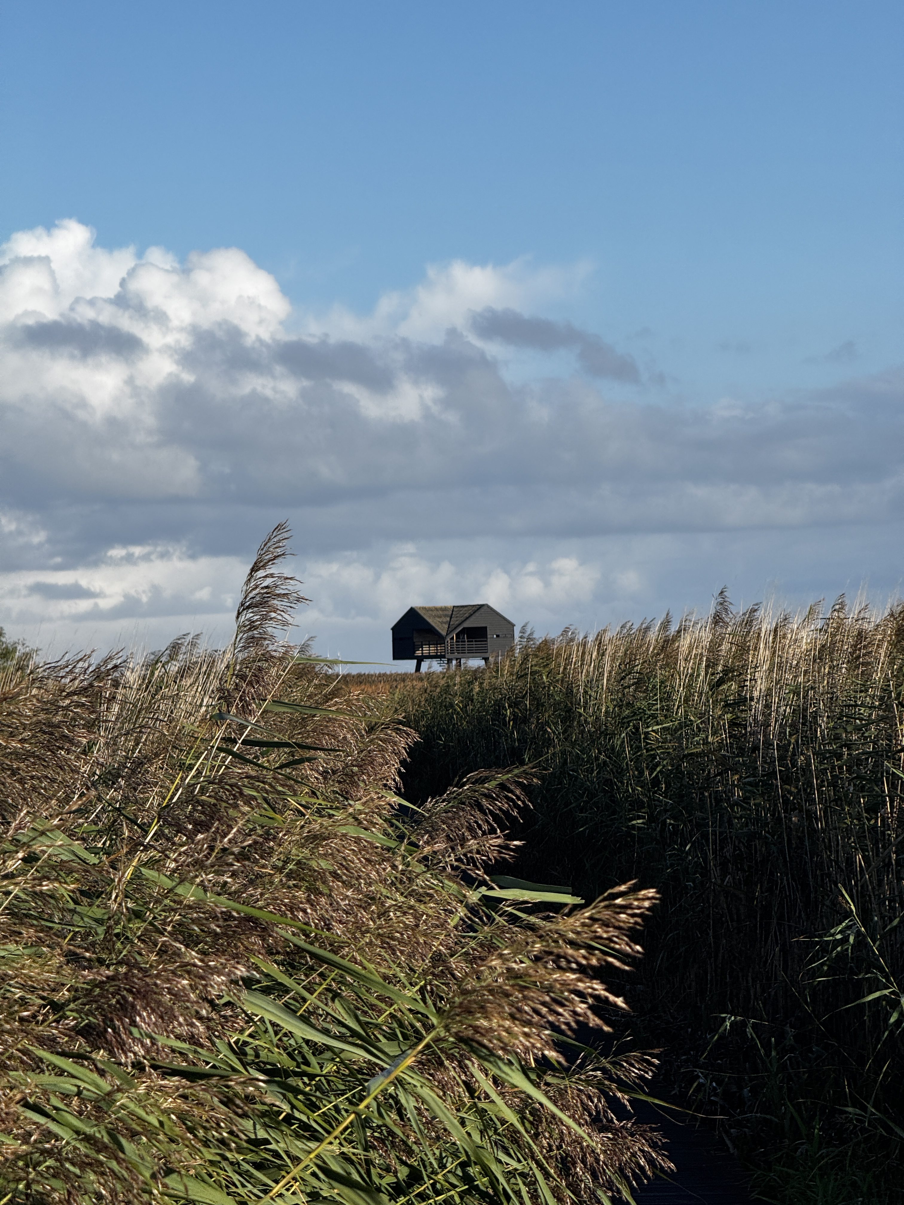Visit Groningen outdoor storytelling project