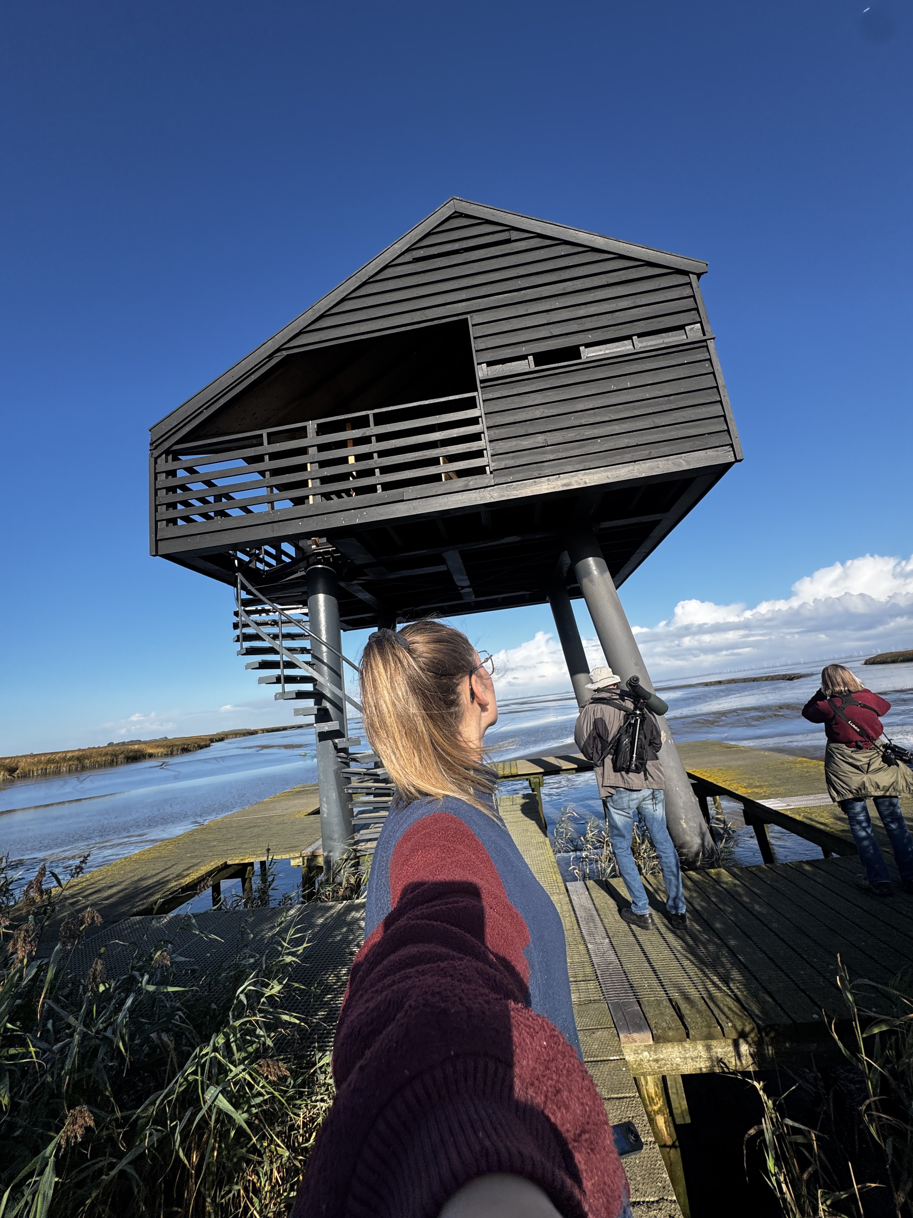 Outdoor scenery in Groningen