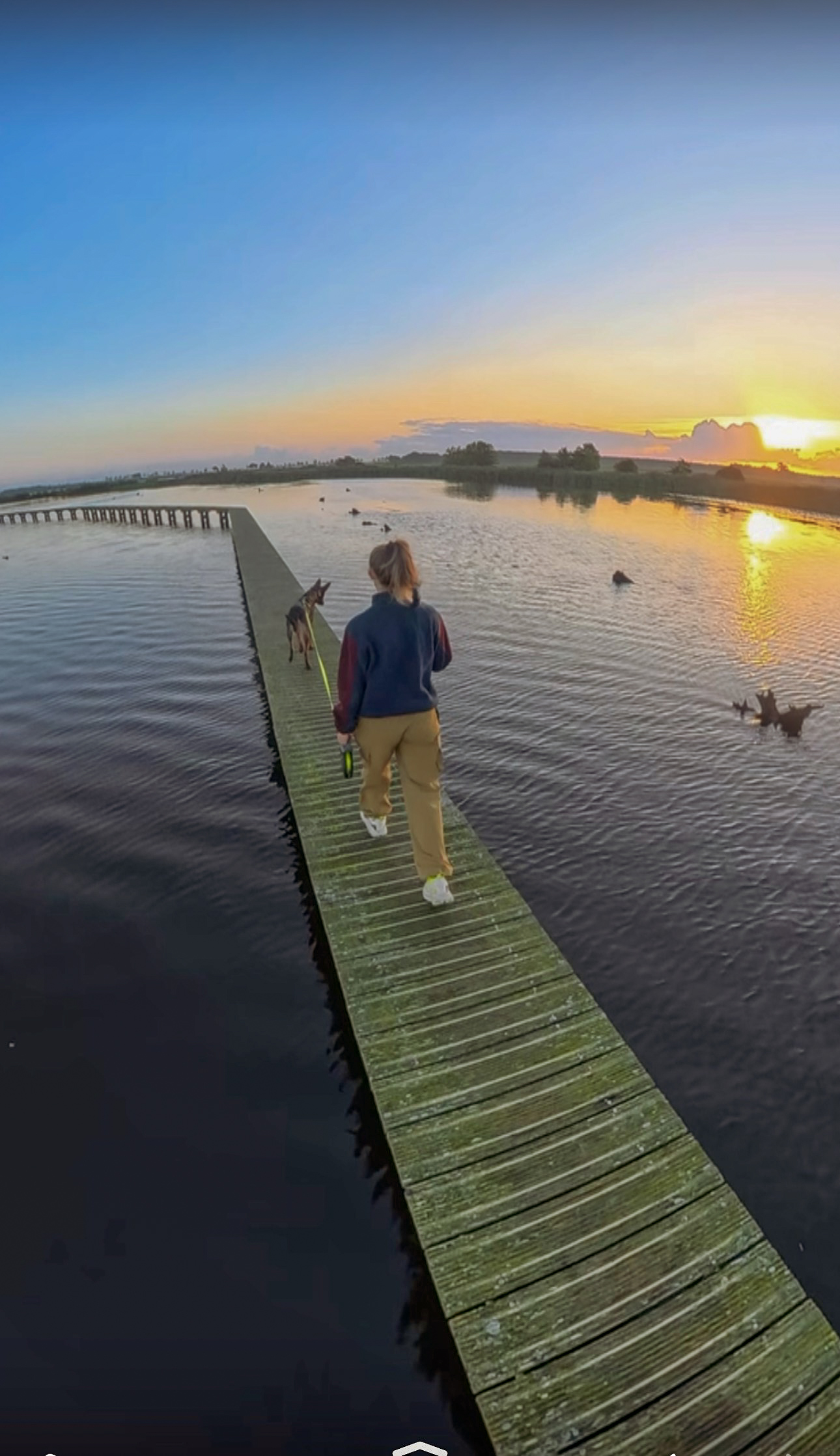 Madelief exploring a wooden boardwalk in Groningen