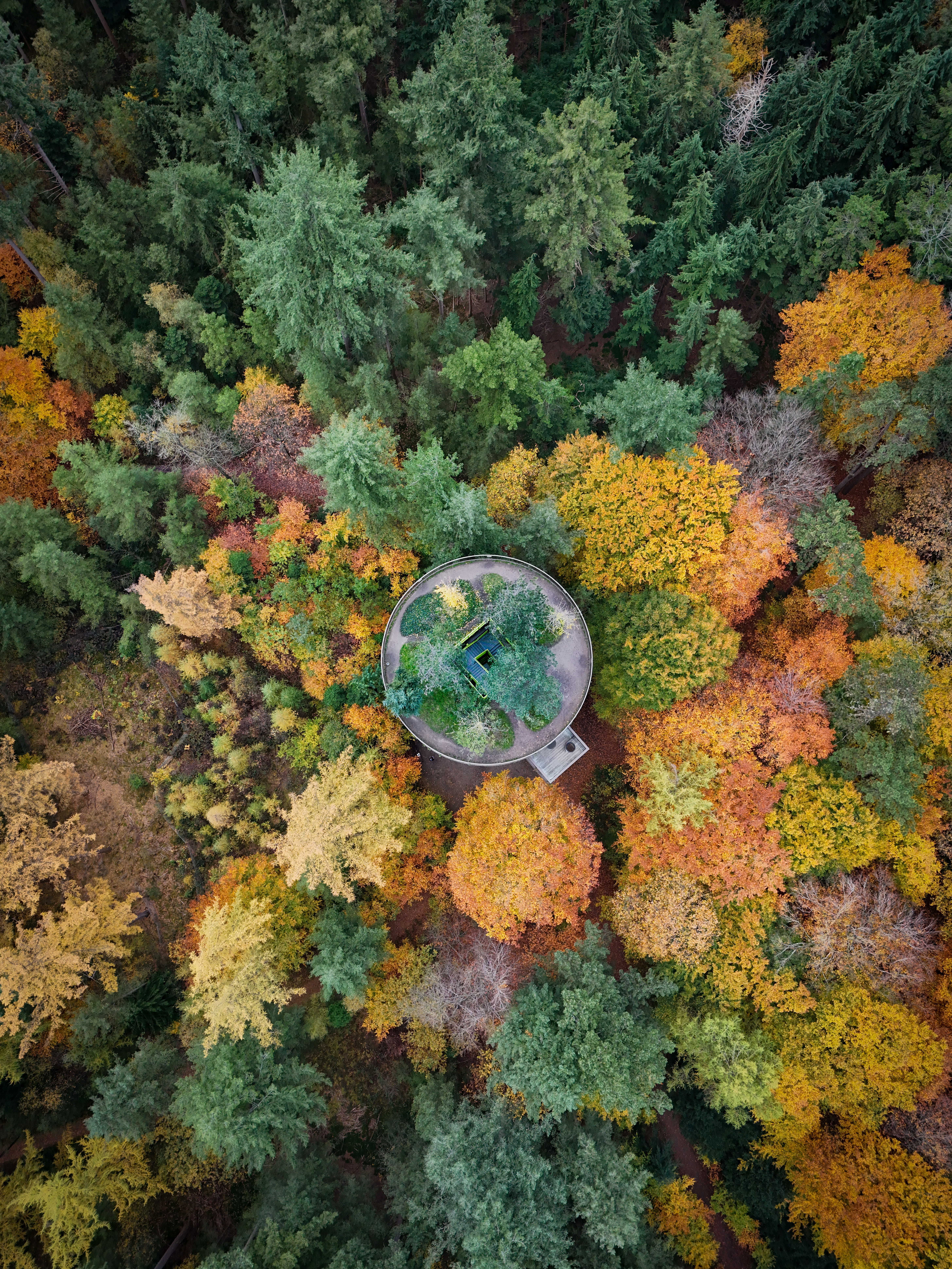 Landscape from above